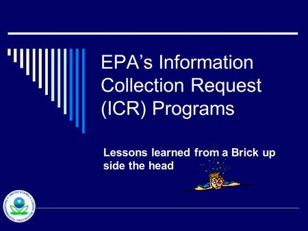 EPAs Information Collection Request (ICR) Programs Lessons learned from a Brick up side the head.