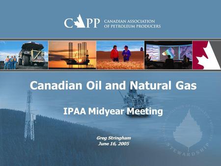 Canadian Oil and Natural Gas IPAA Midyear Meeting Greg Stringham June 16, 2005.