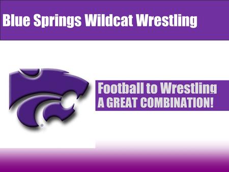 Blue Springs Wildcat Wrestling