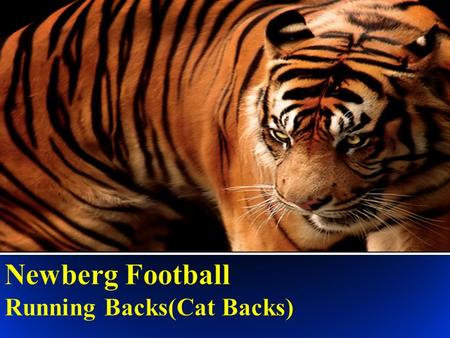 What makes a Cat Back? He must be BRAVE Ball Security Rock Solid Blocker Ability to avoid and break tackles Vision Expects to work for success.