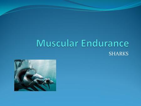 Muscular Endurance SHARKS.