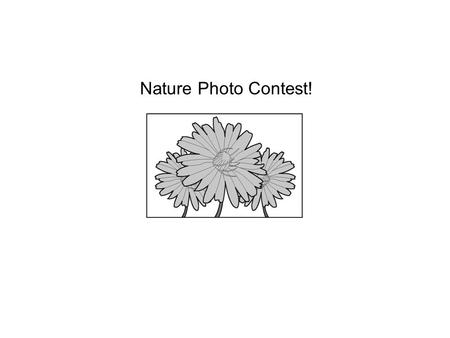 Nature Photo Contest!. 1 Which idea is best supported by the information in the section Additional Information? Ο A. Photos will be displayed for one.