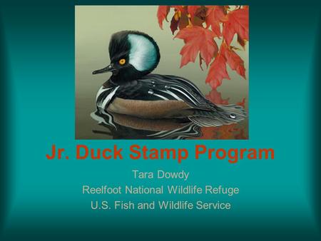 Jr. Duck Stamp Program Tara Dowdy Reelfoot National Wildlife Refuge