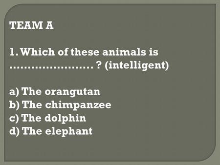 TEAM A 1. Which of these animals is ………………….. ? (intelligent) a) The orangutan b) The chimpanzee c) The dolphin d) The elephant.