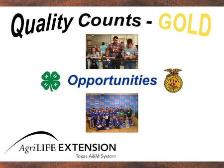 Opportunities. Overview Importance of extracurricular activities to young people Opportunities available for young people in agriculture Defining success.