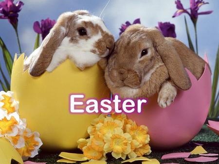 What is Easter ( ) ? Easter is a spring ( ) holiday and a Christian holiday. baby animals bunnies flowers.