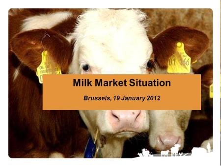 Milk Market Situation Brussels, 19 January 2012. Market Situation – 19 January 20122 !!! Data from some Member States are confidential and are NOT included.