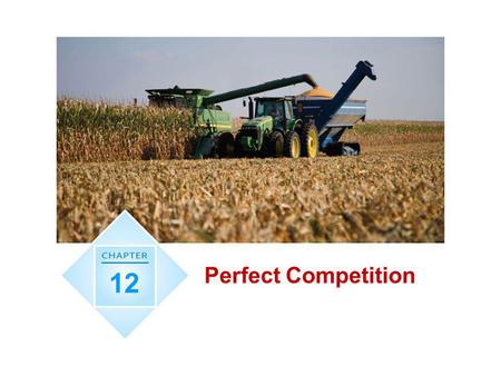 Perfect Competition 12.