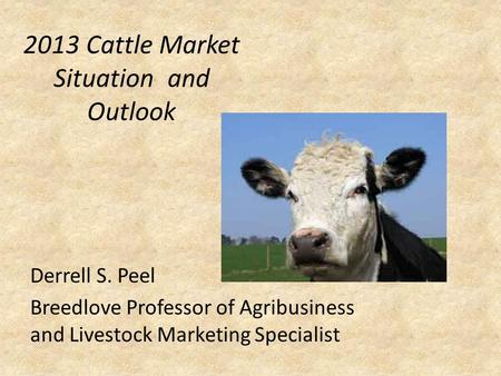 2013 Cattle Market Situation and Outlook Derrell S. Peel Breedlove Professor of Agribusiness and Livestock Marketing Specialist.
