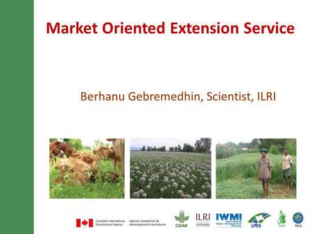 Market Oriented Extension Service Berhanu Gebremedhin, Scientist, ILRI.