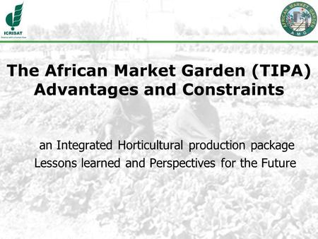 The African Market Garden (TIPA) Advantages and Constraints an Integrated Horticultural production package Lessons learned and Perspectives for the Future.