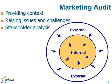 1 Marketing Audit Internal External Providing context Raising issues and challenges Stakeholder analysis.