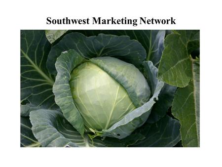 Southwest Marketing Network. Expanding Markets for Southwest Small-Scale, Alternative, and Minority Producers www.swmarketingnetwork.org.