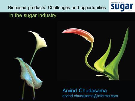 Biobased products: Challenges and opportunities