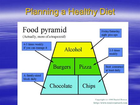 Planning a Healthy Diet. Diet Principles and Dietary Guidelines these two items should be considered each time we make a choice of what goes into our.