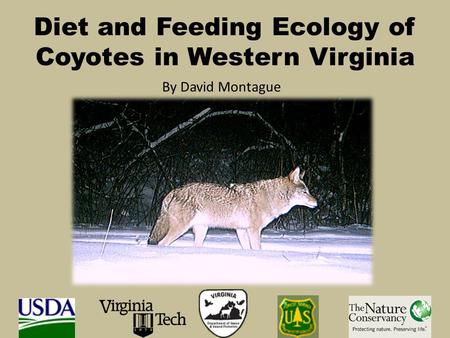 Diet and Feeding Ecology of Coyotes in Western Virginia By David Montague.