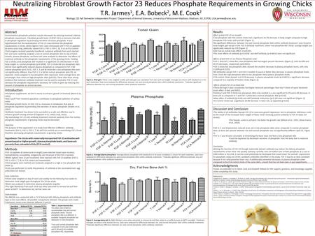 Neutralizing Fibroblast Growth Factor 23 Reduces Phosphate Requirements in Growing Chicks T.R. Jarmes 1, E.A. Bobeck 2, M.E. Cook 2 1 Biology 152 Fall.