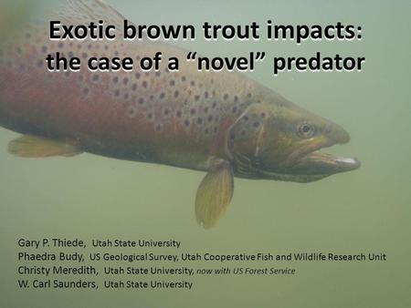 Exotic brown trout impacts : the case of a novel predator Gary P. Thiede, Utah State University Phaedra Budy, US Geological Survey, Utah Cooperative Fish.