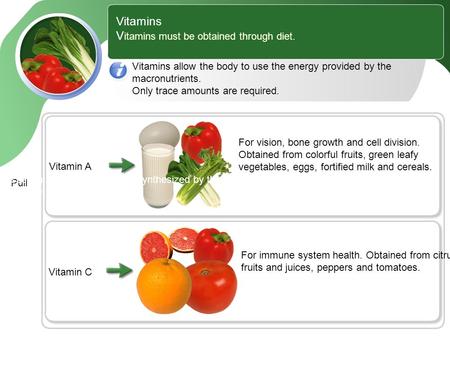 Vitamins V itamins must be obtained through diet. Vitamins allow the body to use the energy provided by the macronutrients. Only trace amounts are required.