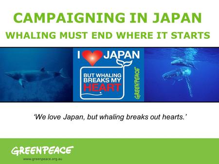 CAMPAIGNING IN JAPAN WHALING MUST END WHERE IT STARTS We love Japan, but whaling breaks out hearts.