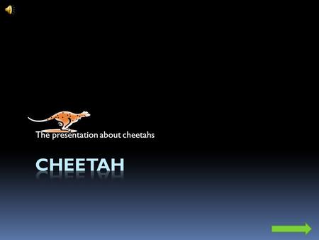The presentation about cheetahs. Main Menu Quick facts about cheetahs Scientific classification Kingdom:Animalia Phylum:Chordata Class:Mammalia Family:Felidae.