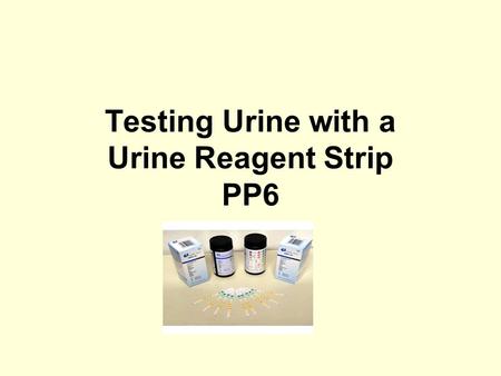 Testing Urine with a Urine Reagent Strip PP6