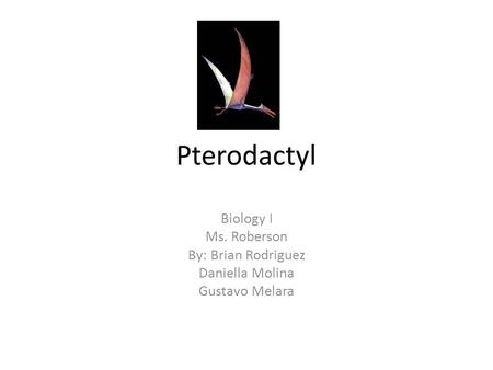 Pterodactyl Biology I Ms. Roberson By: Brian Rodriguez Daniella Molina Gustavo Melara.