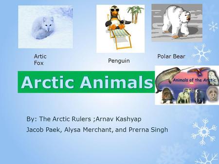 Arctic Animals Arctic Animals By: The Arctic Rulers ;Arnav Kashyap