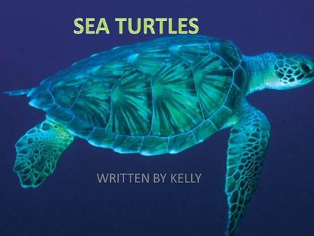 SEA TURTLES WRITTEN BY KELLY.