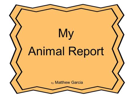 My Animal Report by Matthew Garcia. Jaguars Table of Contents Introduction …………………………………p.3 What Do jaguars Look Like?………p.4 What Do jaguars Eat?....................p.5.