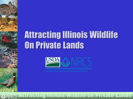 Attracting Illinois Wildlife On Private Lands. Illinois Wildlife Needs 95% of Illinois is privately owned. Wildlife depend on private landowners for habitat.