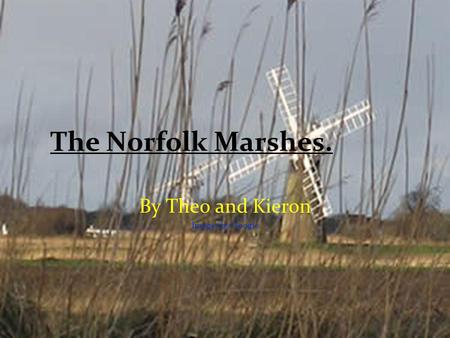 The Norfolk Marshes. By Theo and Kieron Images by Google.