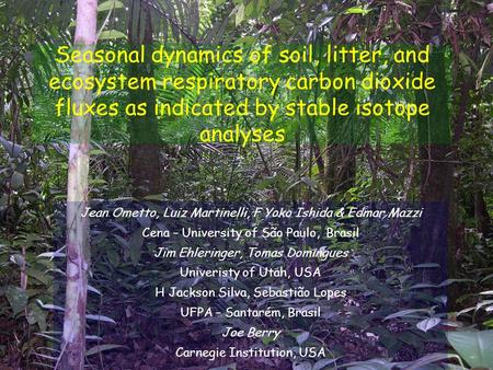 Seasonal dynamics of soil, litter, and ecosystem respiratory carbon dioxide fluxes as indicated by stable isotope analyses Jean Ometto, Luiz Martinelli,