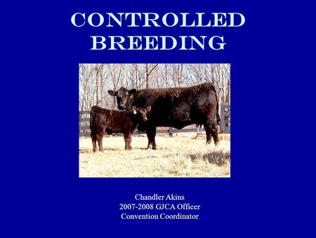 Controlled Breeding Chandler Akins 2007-2008 GJCA Officer Convention Coordinator.