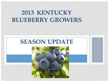 2013 KENTUCKY BLUEBERRY GROWERS SEASON UPDATE. 2012 BLUEBERRY SALES In 2012 the KBGA marketed 4,000 pounds to the Kentucky Public Schools for $14,000.
