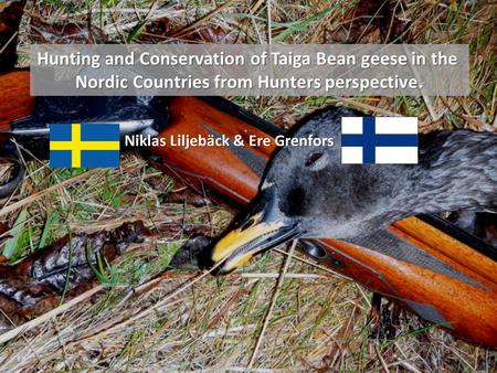 Hunting and Conservation of Taiga Bean geese in the Nordic Countries from Hunters perspective. Niklas Liljebäck & Ere Grenfors.