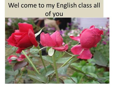 Wel come to my English class all of you