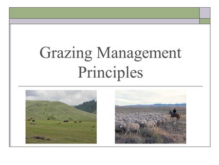 Grazing Management Principles. Natural & Human Resources Grazing Management Decisions Community Response Climate Topography Veg. Community Wildlife Mgmt.