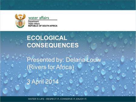 ECOLOGICAL CONSEQUENCES Presented by: Delana Louw (Rivers for Africa) 3 April 2014.