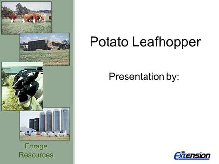ForageResources Potato Leafhopper Presentation by: