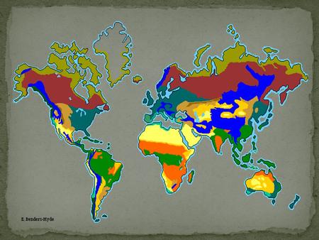 Biome a major regional terrestrial community with its own type of climate, vegetation, and animal life.