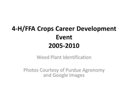 4-H/FFA Crops Career Development Event 2005-2010 Weed Plant Identification Photos Courtesy of Purdue Agronomy and Google Images.