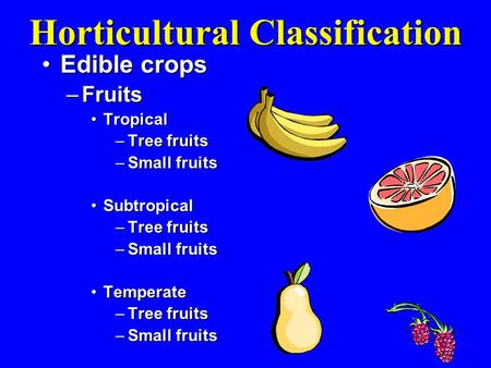 Horticultural Classification Edible cropsEdible crops –Fruits TropicalTropical –Tree fruits –Small fruits SubtropicalSubtropical –Tree fruits –Small fruits.