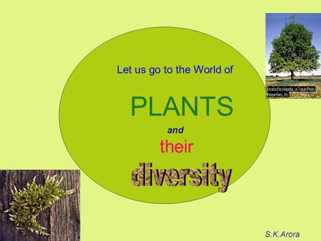 Let us go to the World of PLANTS their S.K.Arora and.