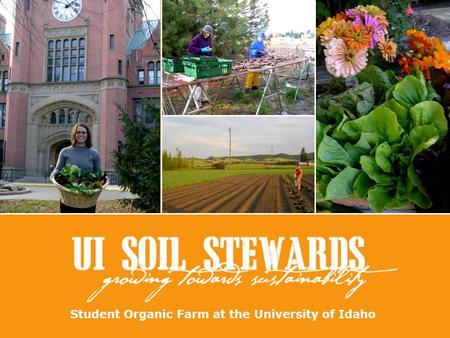 Student Organic Farm at the University of Idaho. Who are the Soil Stewards? University of Idaho Students Committed to Organic Farming & Sustainable Community.