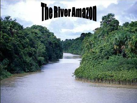 Amazon river has over 3,000 recognized species of fish and that number is still growing. Some estimates go as high as 5,000. Along with the Orinoco,