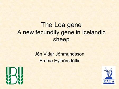 The Loa gene A new fecundity gene in Icelandic sheep Jón Vidar Jónmundsson Emma Eythórsdóttir.