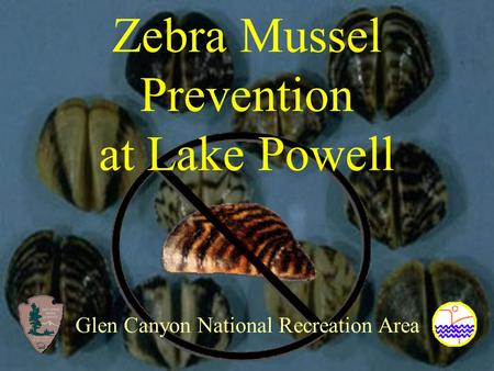 Zebra Mussel Prevention at Lake Powell Glen Canyon National Recreation Area.
