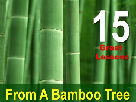 15 From A Bamboo Tree GreatLessons. Bamboo was used since ancient times. A highly useful material, it has been used by man and is still being used for.