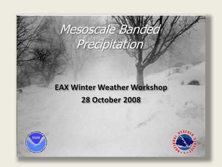 Mesoscale Banded Precipitation EAX Winter Weather Workshop 28 October 2008 EAX Winter Weather Workshop 28 October 2008.